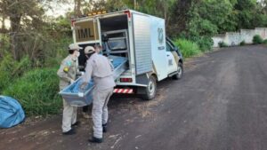 Cadaver encontrado em Apucarana e identificado Ass 00556421 8 202110291918 md