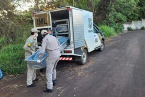 Cadaver encontrado em Apucarana e identificado Ass 00556421 8 202110291918 md