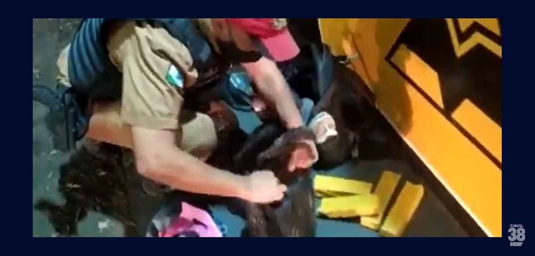 Moça de 19 anos é presa em Rolândia transportando 15 kg de maconha em ônibus
