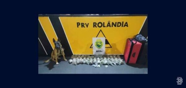 PRE apreende 41 tabletes de maconha em ônibus em Rolândia