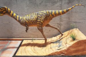 Dinossauro raro é encontrado em município do Paraná