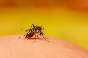 Arapongas registra 1 caso de dengue e 38 em investigação