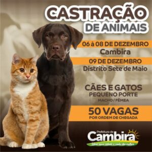 cambira_castracao