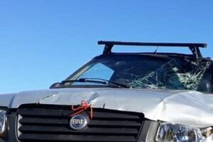 Motorista que atropelou e matou criança de 12 anos em Arapongas é identificado