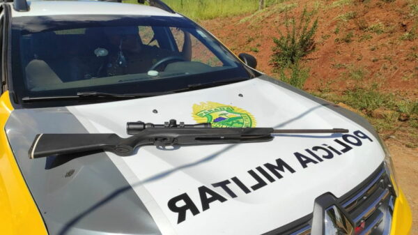Adolescente ameaça vizinha com espingarda em Apucarana