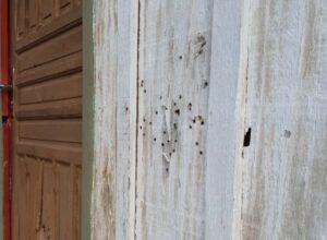 Criança de 5 anos é baleada após homens atirarem contra a casa da família