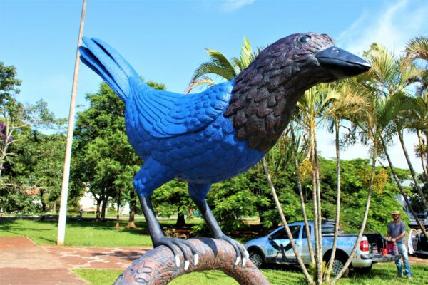 gralhaazul