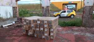 Mais de mil lâmpadas são localizadas em terreno de Apucarana