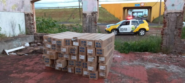 Mais de mil lâmpadas são localizadas em terreno de Apucarana