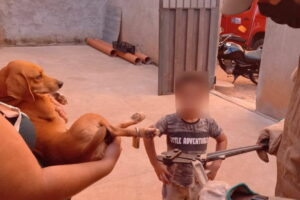 Menino põe cadeado na pata de cão e bombeiros são chamados