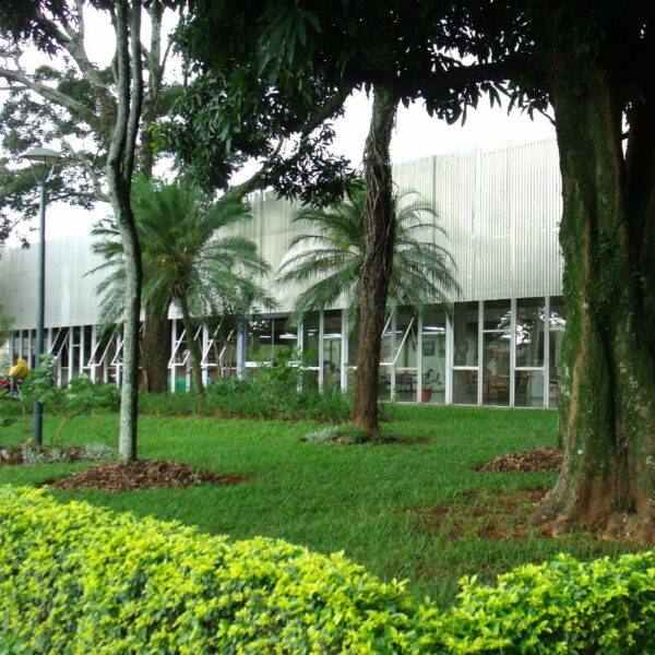 Aniversário de Arapongas: SECLE abre exposição sobre os 75 anos