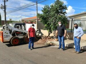 Cambira inicia o destocamento (retirada dos tocos) e Plantio de árvores