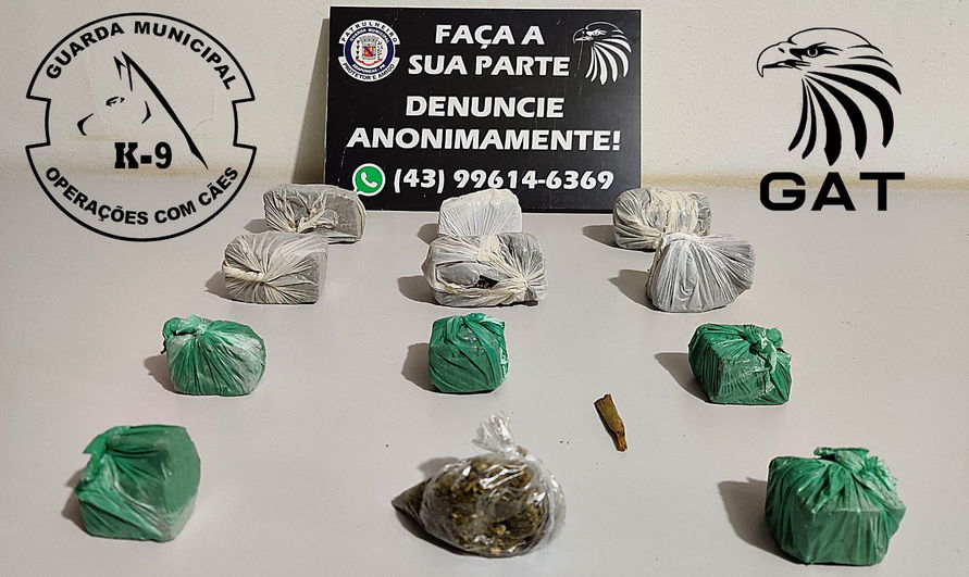 GM de Arapongas apreende jovem por tráfico de drogas