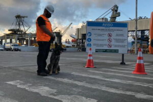 Paraná é pioneiro em inspeção de segurança com cães de faro