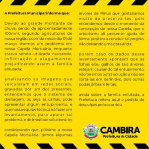 cambirainforme