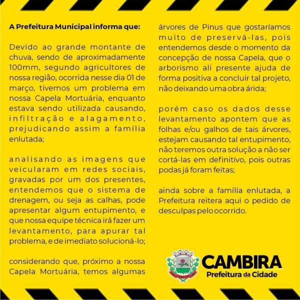 cambirainforme