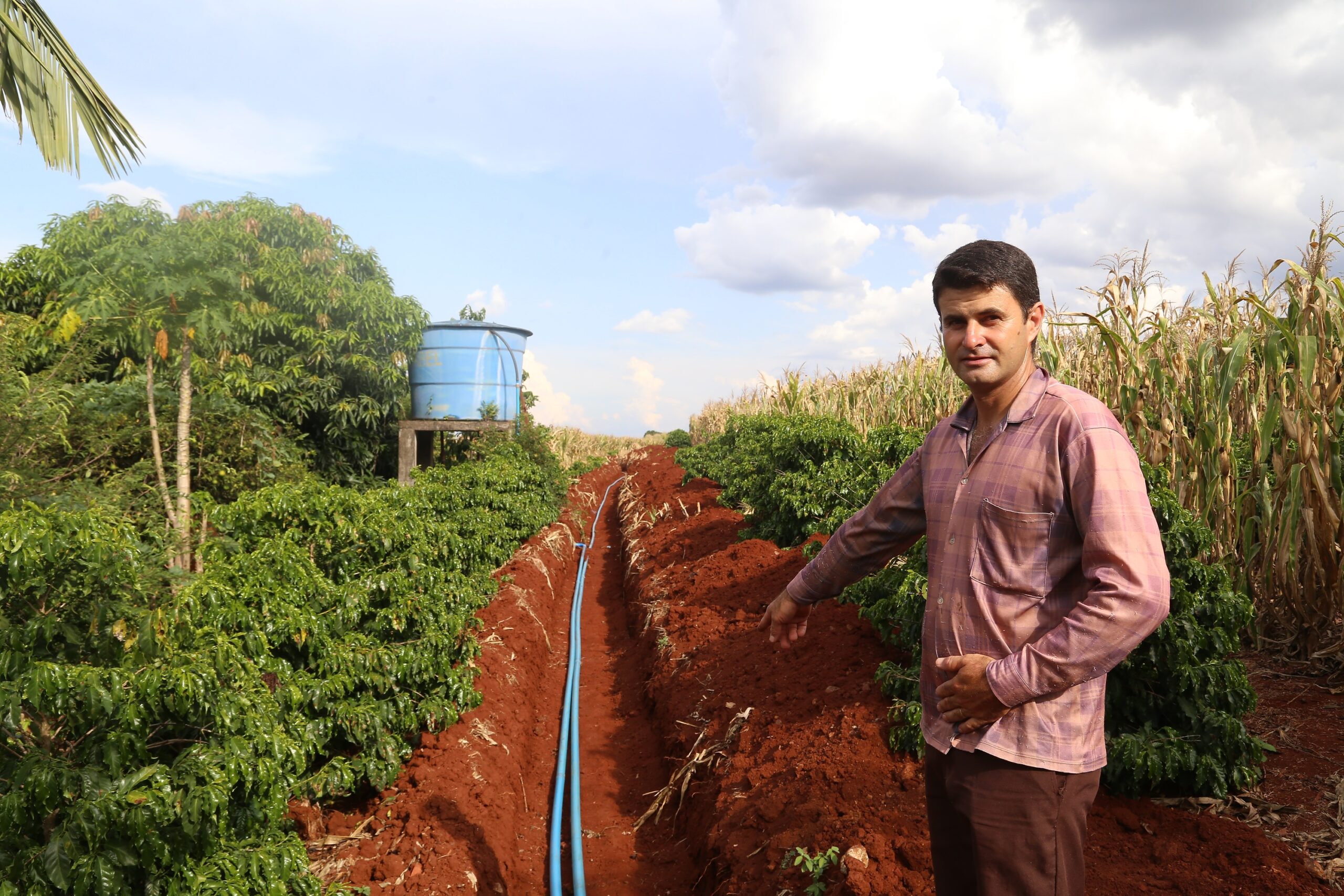 Com juros subsidiados pelo Estado, Banco do Agricultor muda a realidade dos paranaenses