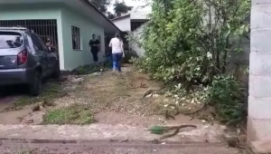 Homem morre ao ser atingido por galho arrancado por ventania