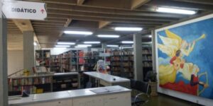 Aniversário Histórico: Biblioteca Machado de Assis de Arapongas comemora 63 anos