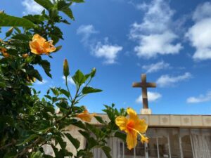 Falecimentos deste domingo (24) em Apucarana