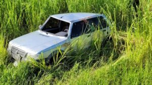 Homem capota carro e acaba em meio a matagal na PR-170