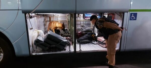 PM realiza abordagens de ônibus interestaduais em Jandaia do Sul