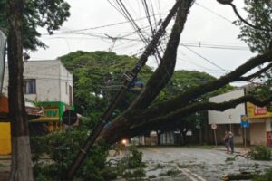 Temporais deixam mais de 1,2 mil casas destelhadas no Paraná