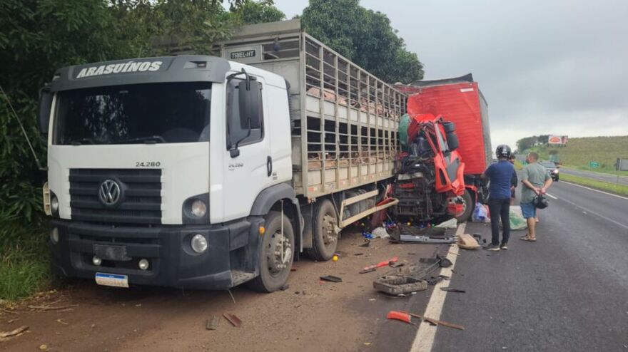 BR 376: caminhão carregado com porcos se envolve em acidente