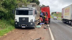 BR-376: caminhão carregado com porcos se envolve em acidente entre Pirapó e Cambira