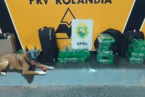 Polícia apreende 73 Kg de maconha em ônibus de passageiros