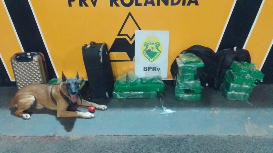 Polícia apreende 73 Kg de maconha em ônibus de passageiros