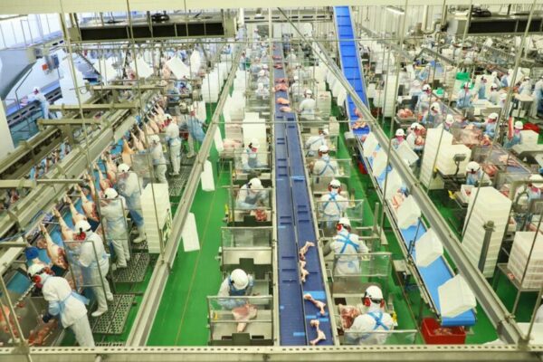 Setor de serviços responde por 66% das vagas de emprego