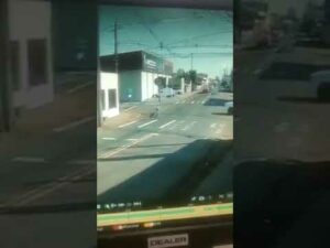 Senhora é atropelada na faixa de pedestre em Arapongas – Veja Vídeo