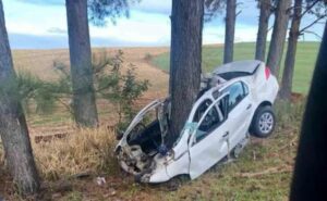 Carro parte ao meio após bater em árvore no Paraná