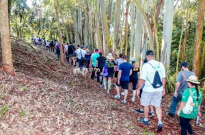 Caminhada Internacional da Juruba  acontece dia 17 com diversas novidades em Apucarana