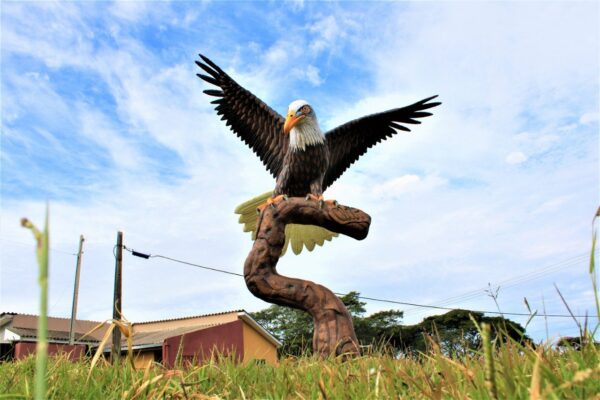 Finalizada 16ª escultura de pássaro em Arapongas