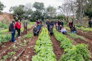 Universitários conhecem Programa Municipal de Hortas Solidárias em Apucarana