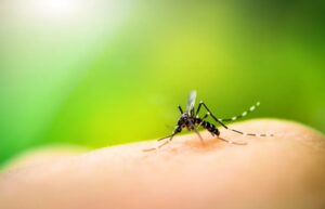 Mutirão contra a dengue vai percorrer mais de 30 ruas nesta sexta-feira em Mandaguari