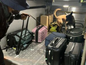 Guarda Municipal de Arapongas – Patrulhamento Presença no Terminal Rodoviário