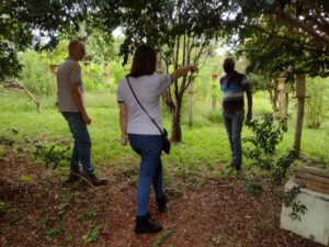 Apucarana abre inscrições para novas turmas do curso de Meliponicultura