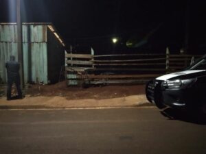 Homem é morto a pauladas em Jardim Alegre