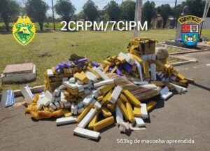 Polícia de Arapongas apreende mais de meia tonelada de maconha