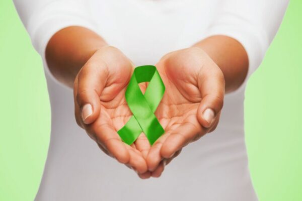 Arapongas define cronograma de atividades do Setembro Verde