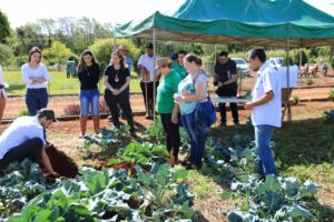 Sucesso no I Dia de Campo em Arapongas – Boas Práticas Agropecuárias, realizado no Dorcelina Folador