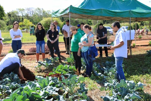 Sucesso no I Dia de Campo em Arapongas – Boas Práticas Agropecuárias, realizado no Dorcelina Folador