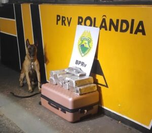 Adolescente transportava 21 quilos de maconha em ônibus de linha