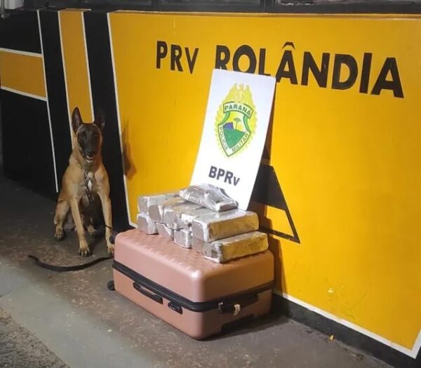 Adolescente transportava 21 quilos de maconha em ônibus de linha