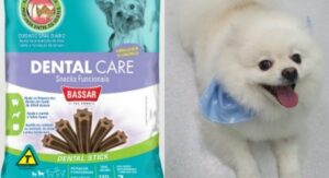 Fábrica de ração em SP é interditada após morte de cães intoxicados
