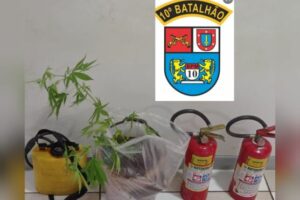 Homem furta vizinha e acaba preso por tráfico de drogas em Apucarana