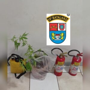 Homem furta vizinha e acaba preso por tráfico de drogas em Apucarana